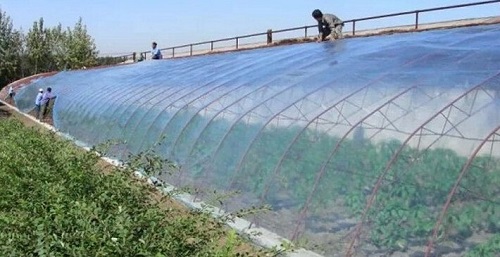 大棚吹膜用哪種增白劑？